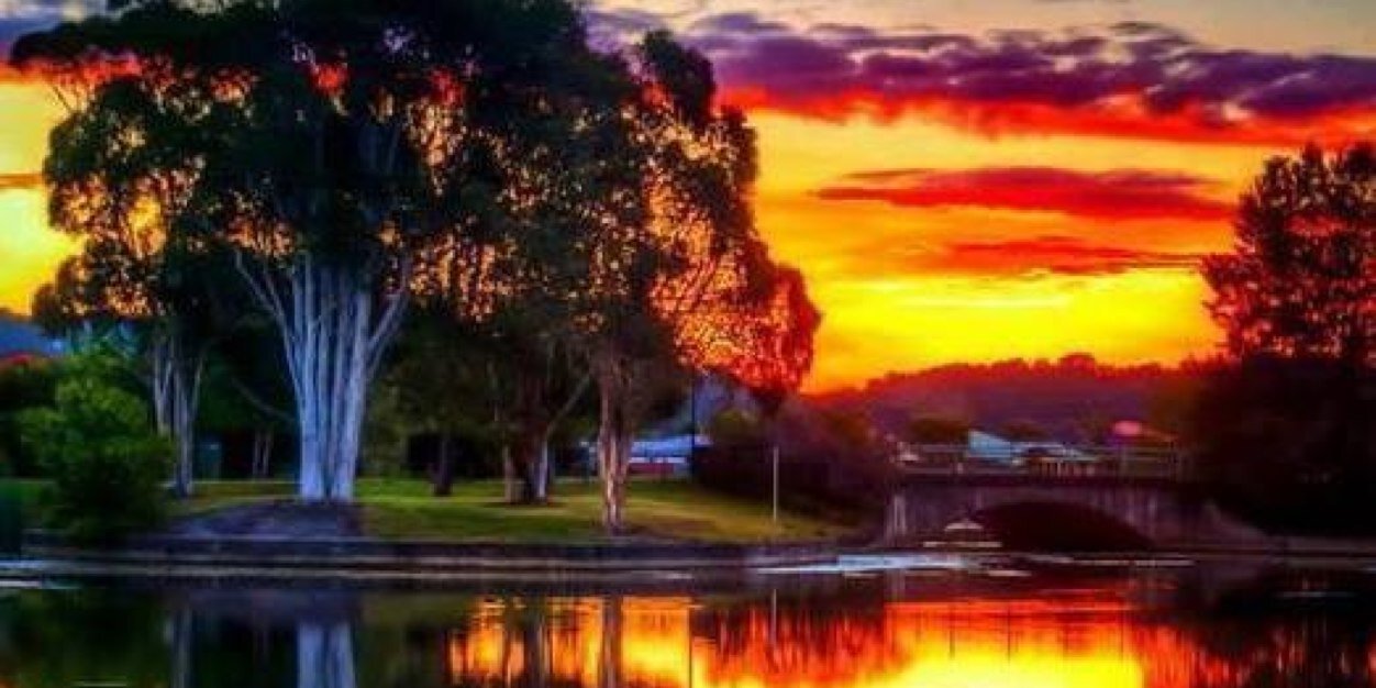 Mark Taylor banner