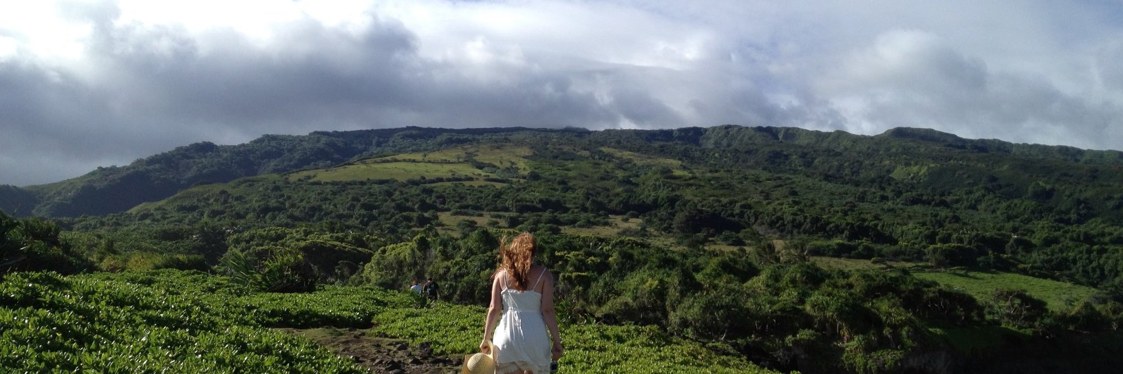 lisapinkerton's profile banner image