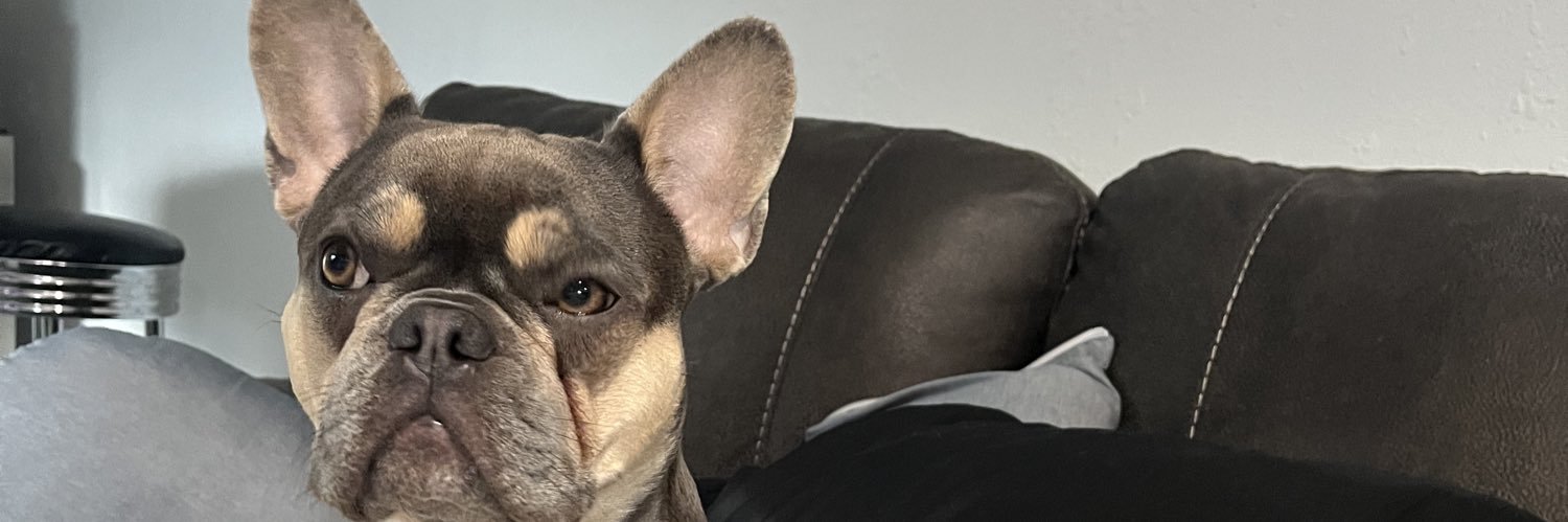 dmantinalva's profile banner image