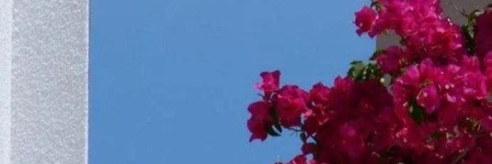 سمر banner
