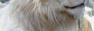 masohail61's profile banner image
