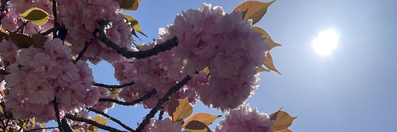 japaneseonly's profile banner image