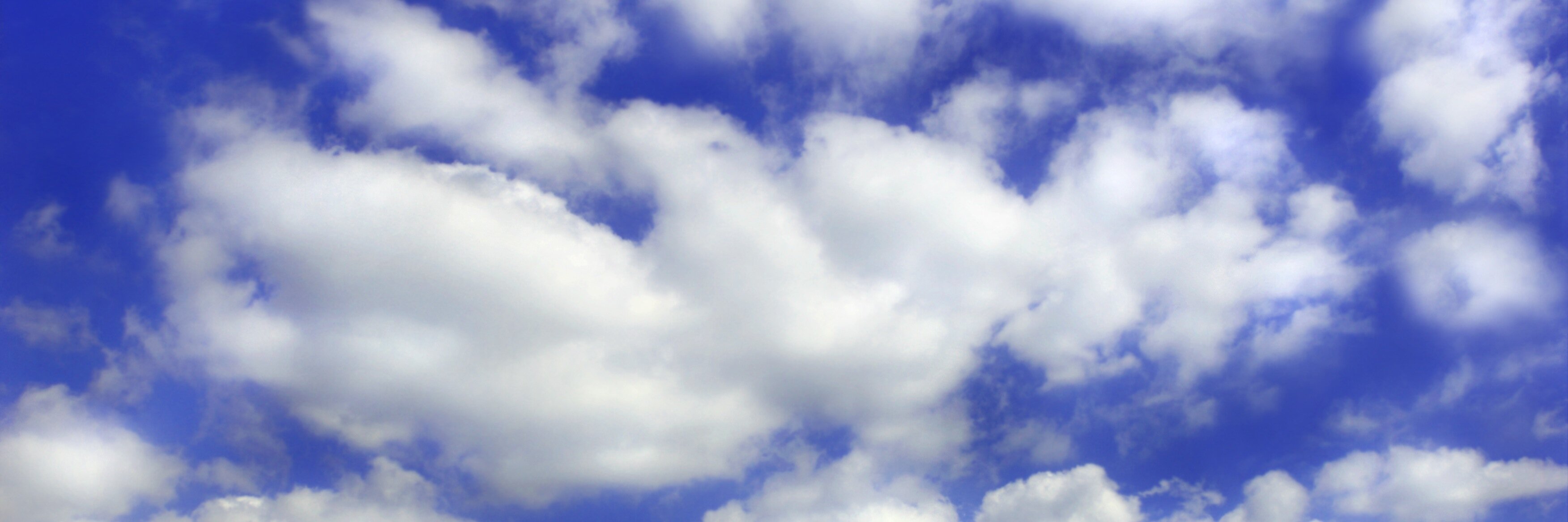 Kathleen Pooler banner