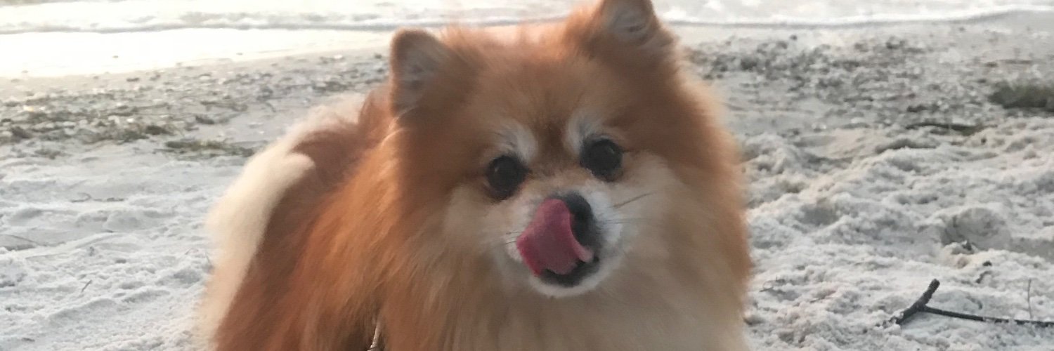 DrJenniAcu's profile banner image