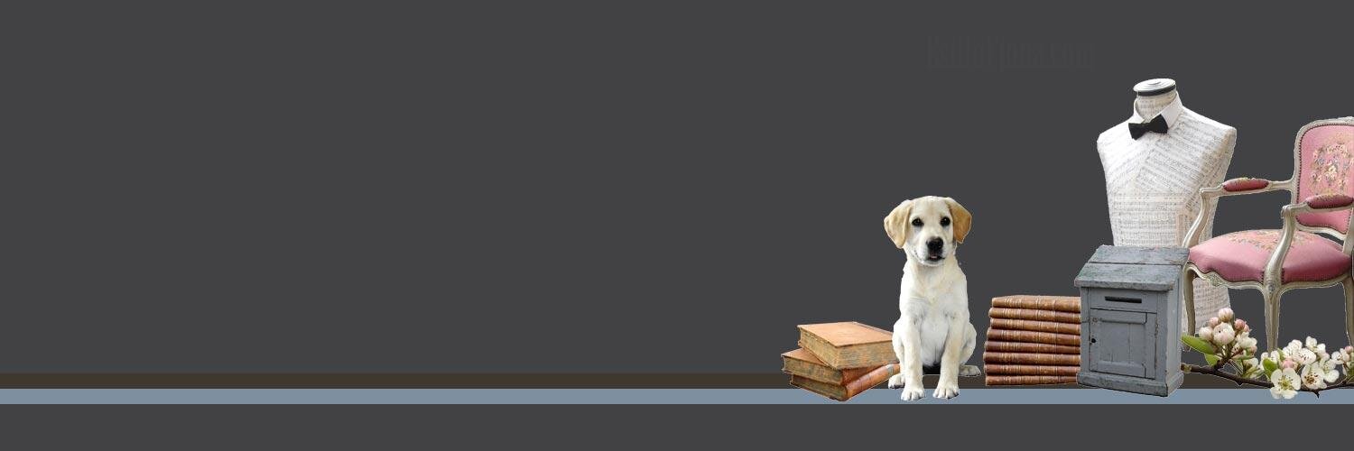 EstiloFiona's profile banner image