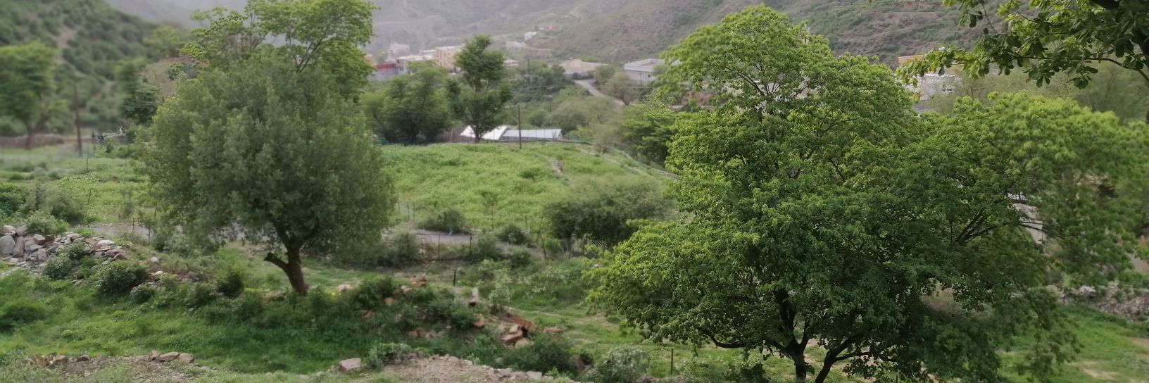 موسى عسيري‎ banner