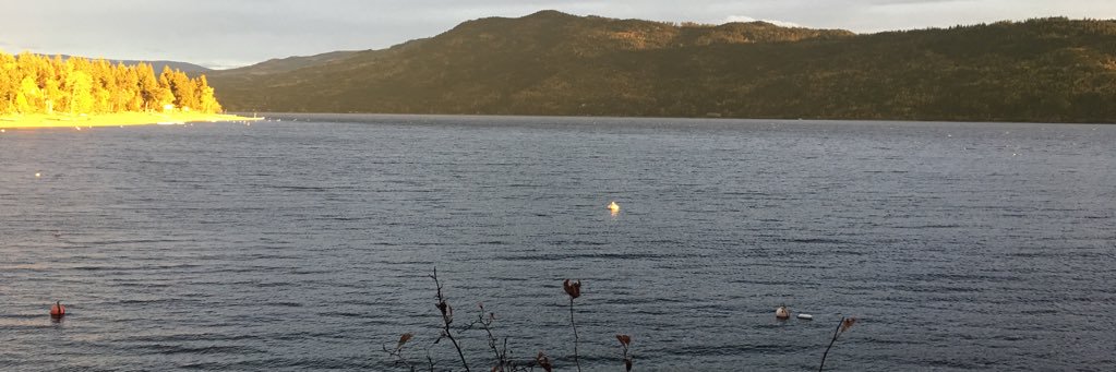 Dave Chyzowski banner