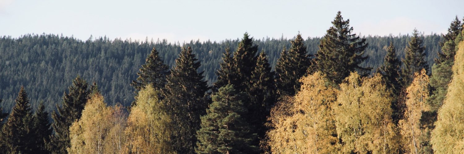 Kike banner