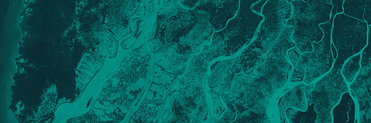 salociN__'s profile banner image