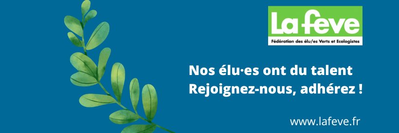 La FEVE banner