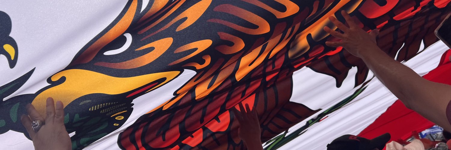 sdondisch's profile banner image