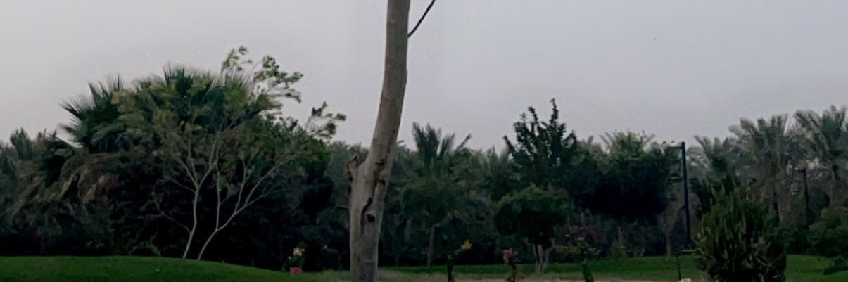 د . شويمي بن عجيان ال كتاب banner