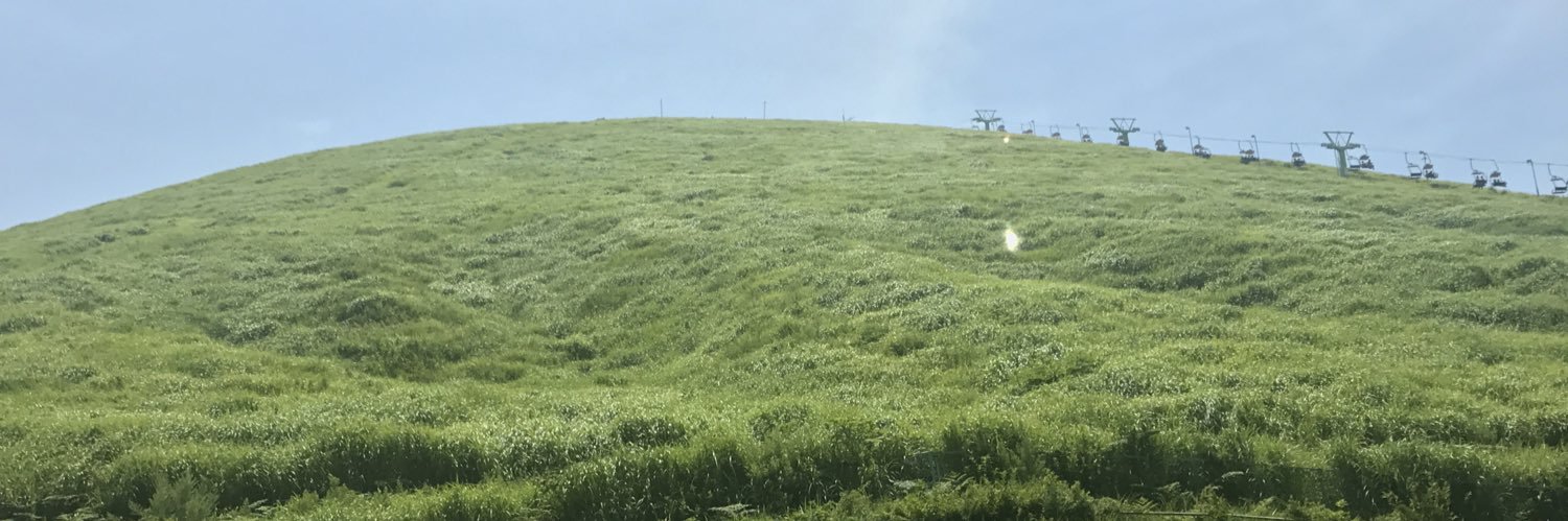 borborbor888's profile banner image