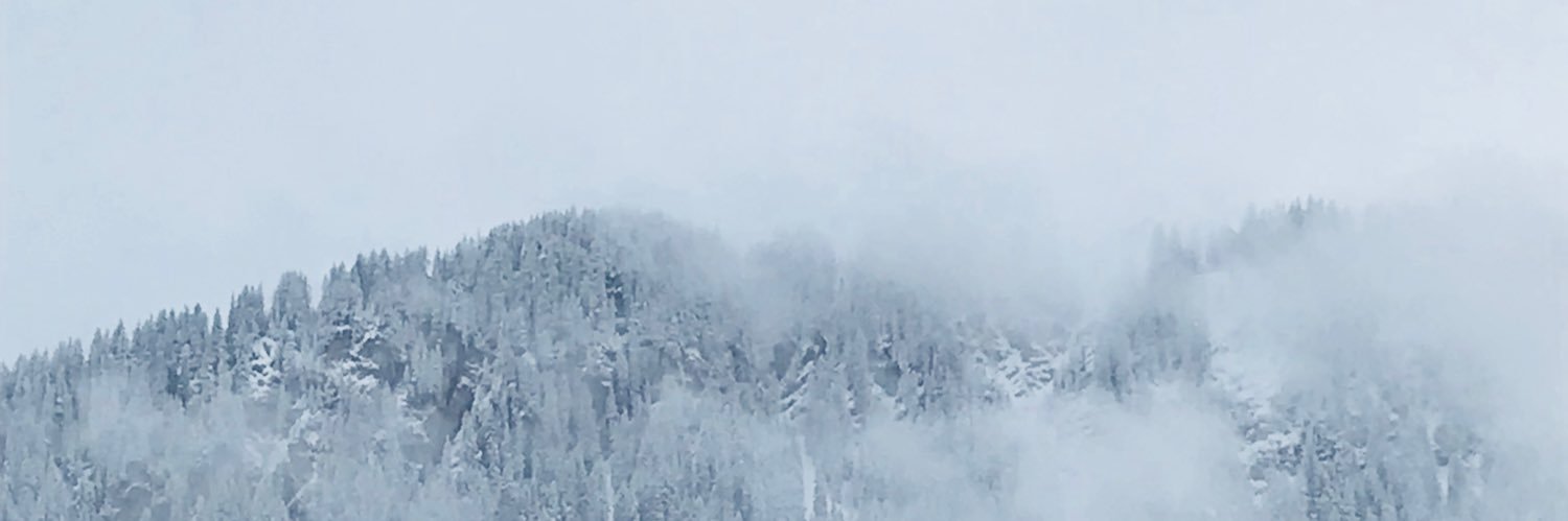 corcoran_jen's profile banner image
