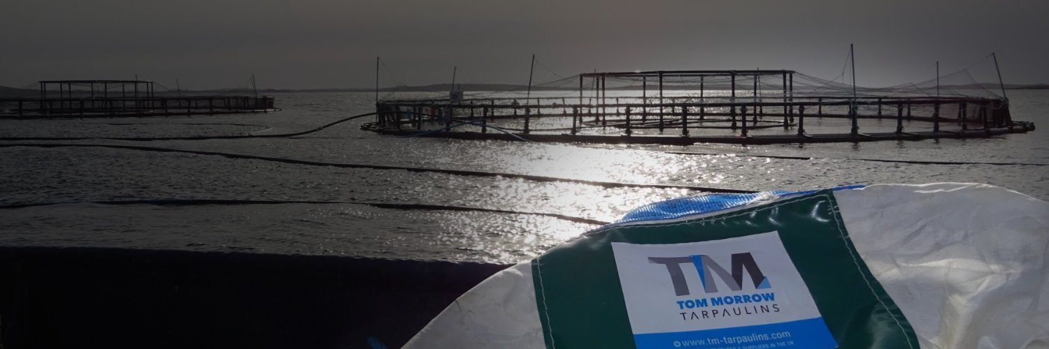 TomMorrowTarps's profile banner image