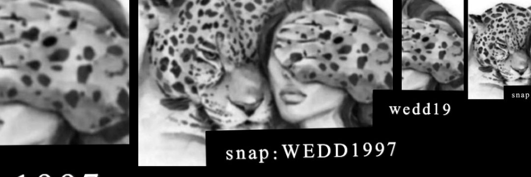 Wedd1417's profile banner image