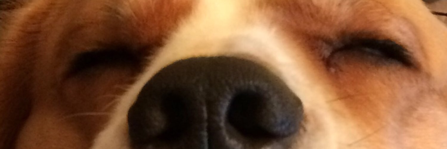 clair_ross's profile banner image
