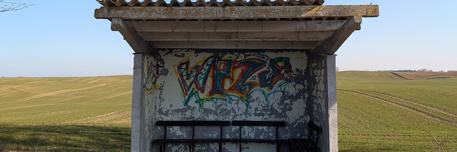 Diabelski ananas banner