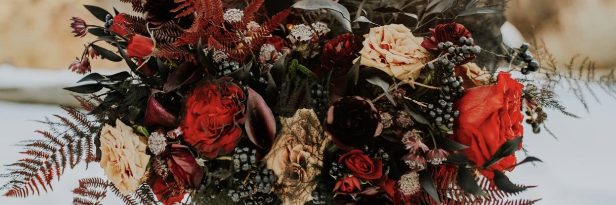 k_starr2's profile banner image