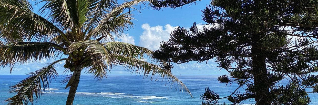 Crystal Saxton banner