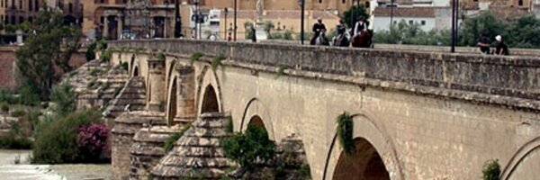 alfoar Profile Banner