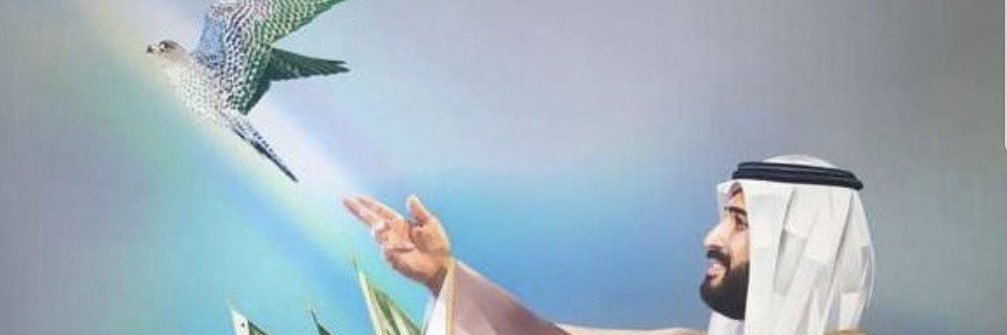 Mohammed M. Al-Madi banner