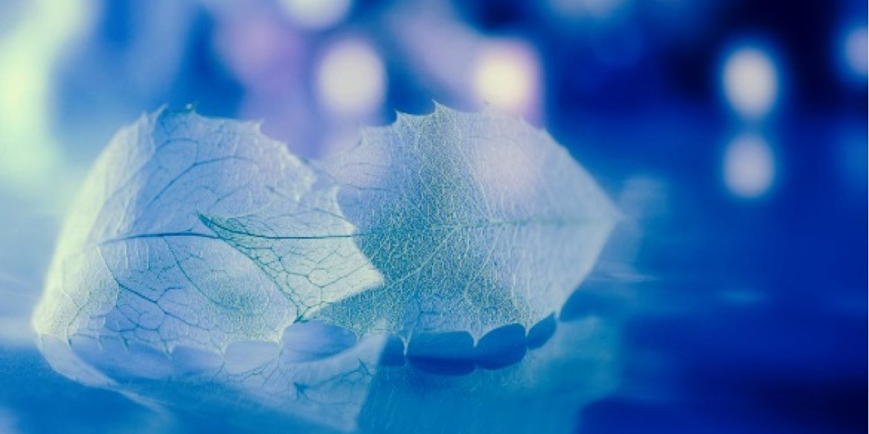 elmmc's profile banner image