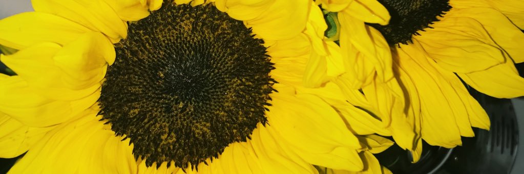 VicQuince's profile banner image