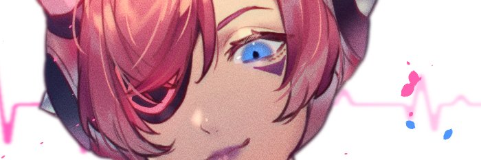 daniel rosales banner