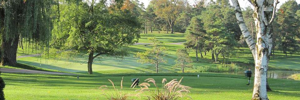 GolfSleepy's profile banner image