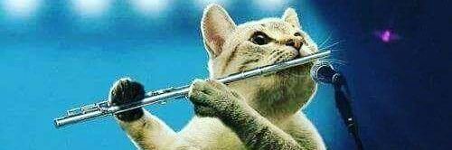 catslife17's profile banner image