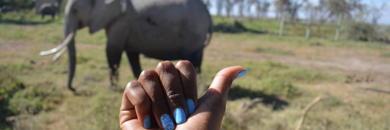 polletwangari's profile banner image