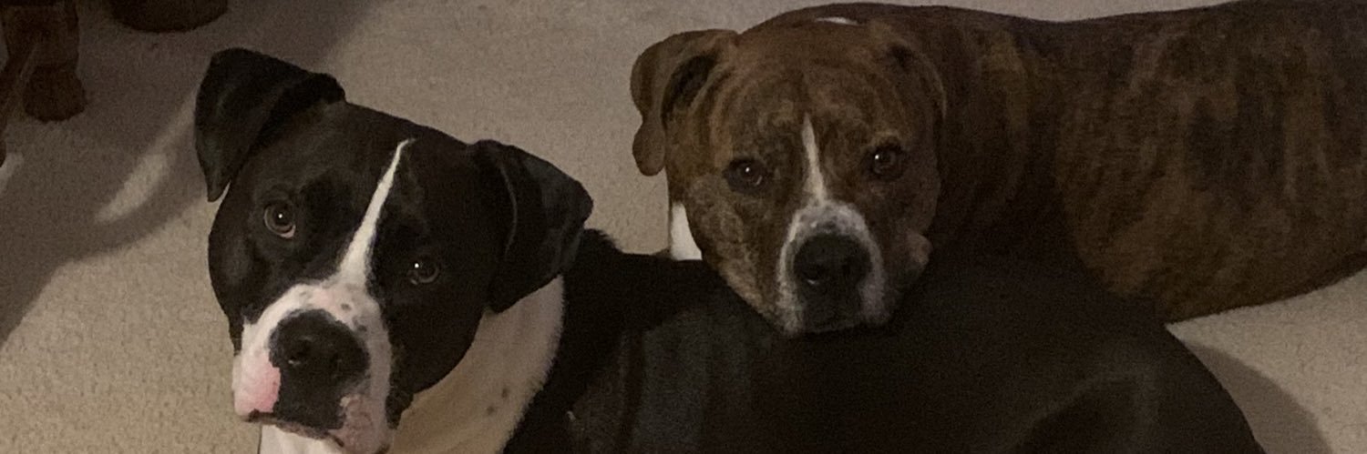 tilio balassi banner