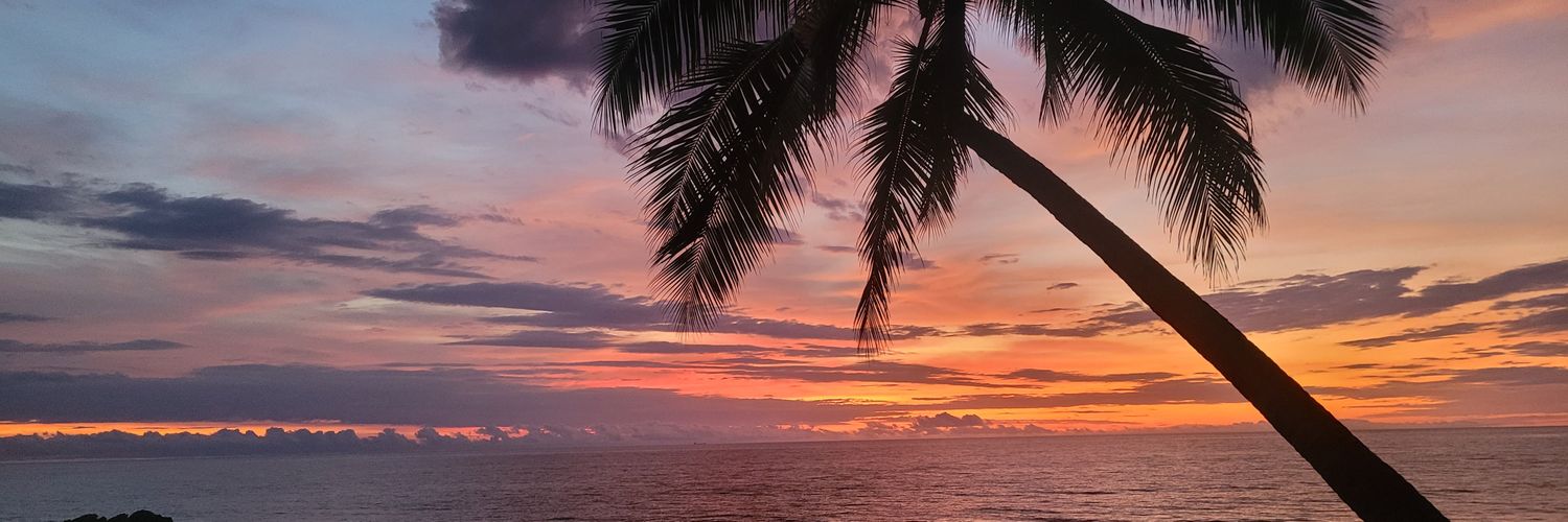 Danipapab's profile banner image