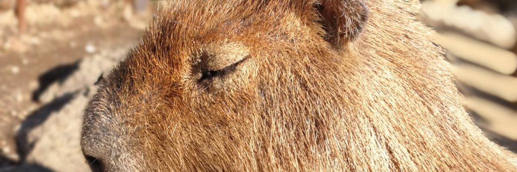 mosh980's profile banner image