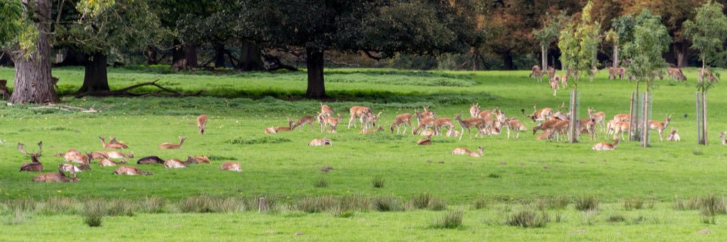 Peter Franklin 🌳 banner