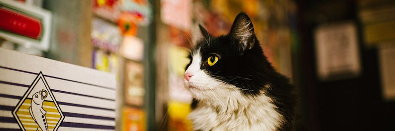 Bauer Wine & Spirits banner