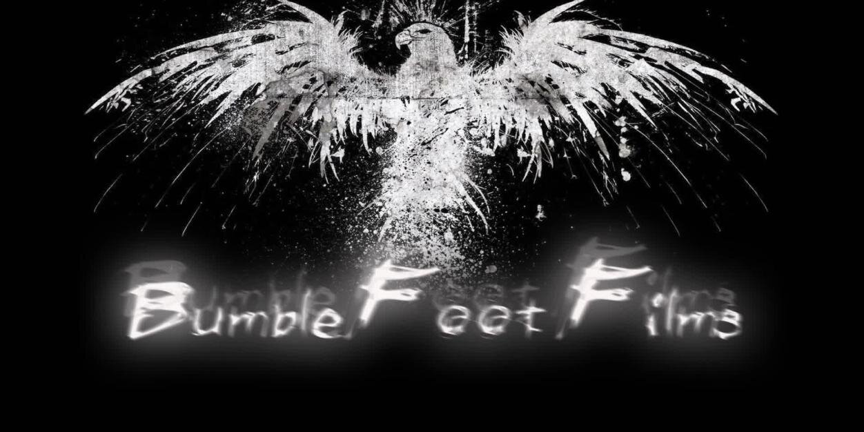 bumblefalconer's profile banner image