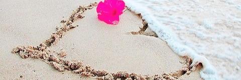 mayachi68's profile banner image
