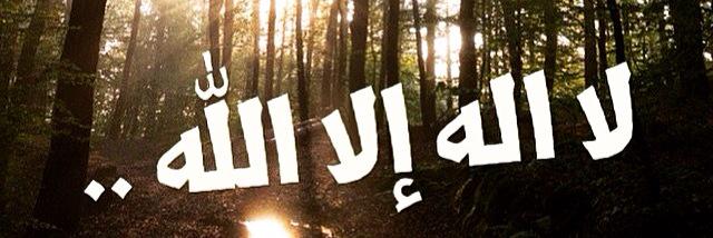nxn60006's profile banner image