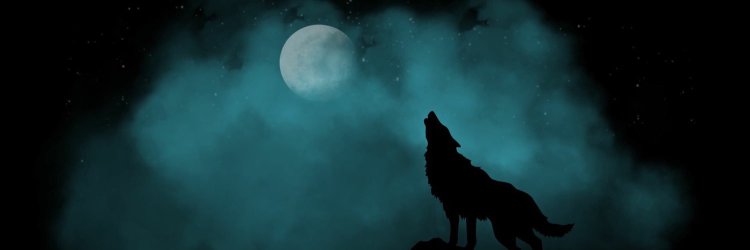 masiroglu's profile banner image
