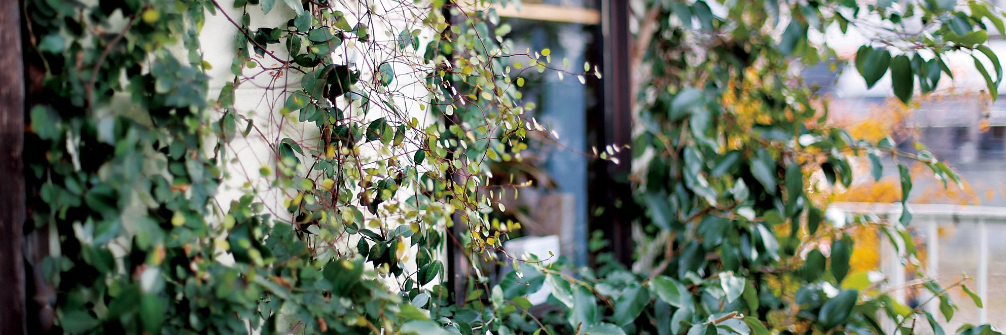 BEEKmagazine's profile banner image