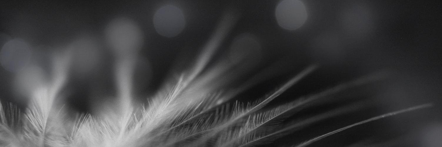 DyeStormere's profile banner image
