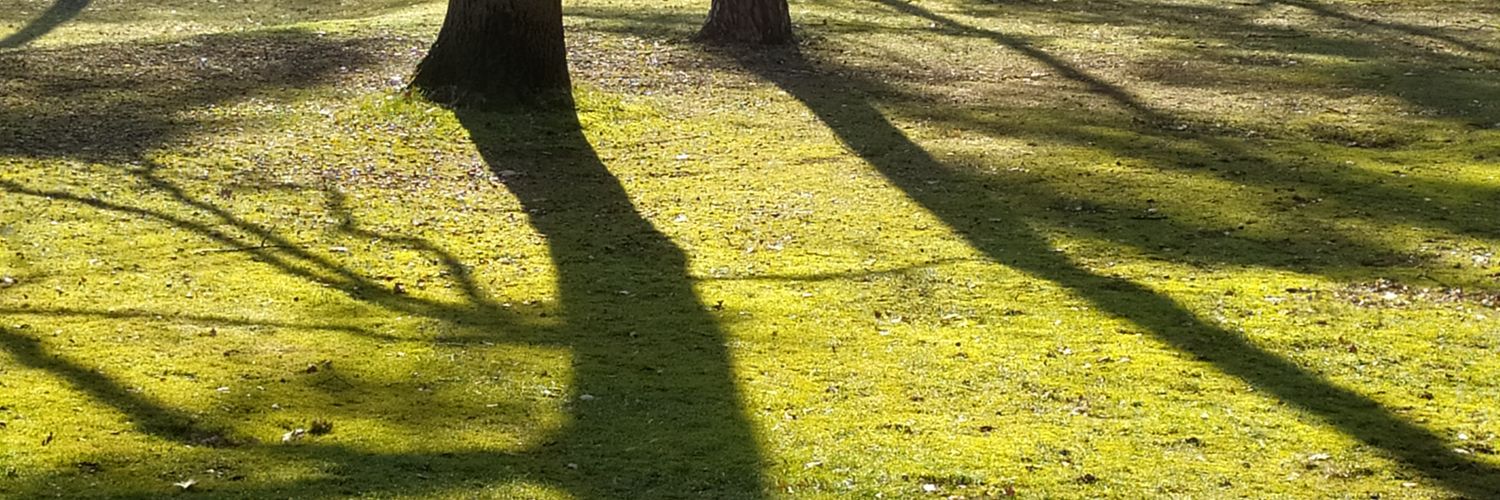 Max_Yari's profile banner image