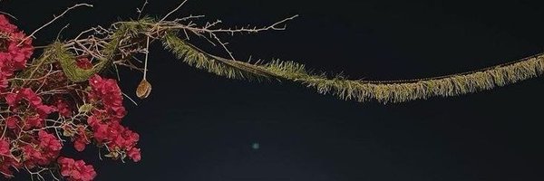gononnurs Profile Banner