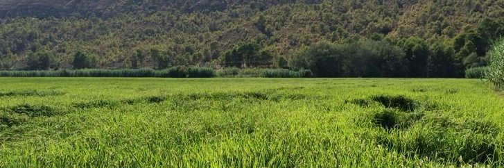 TurismoCalaspar's profile banner image