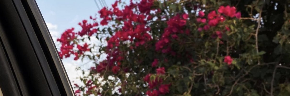 كان banner