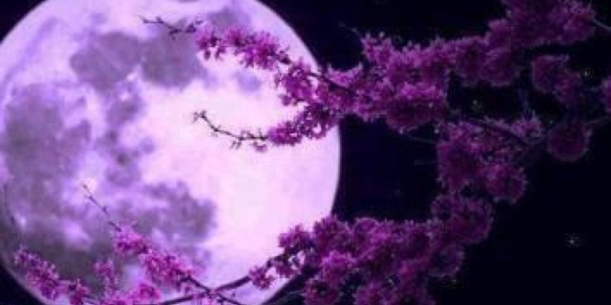 fofo5c's profile banner image