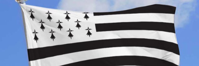 didined7's profile banner image