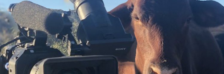 ron_on's profile banner image